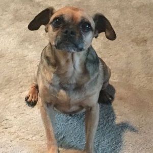 Meet your Posher, Roger